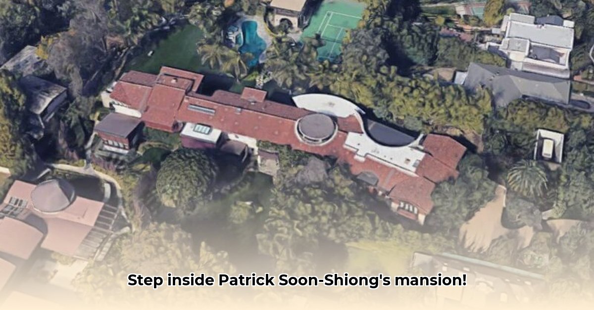 patrick-soon-shiong-house